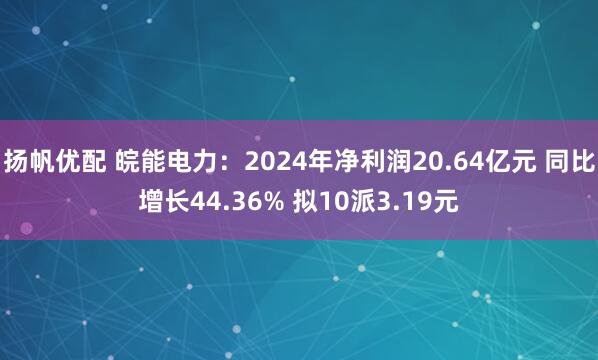 扬帆优配 皖能电力：2024年净利润20.64亿元 同比增长44.36% 拟10派3.19元
